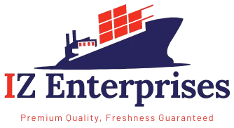 theizenterprises.com